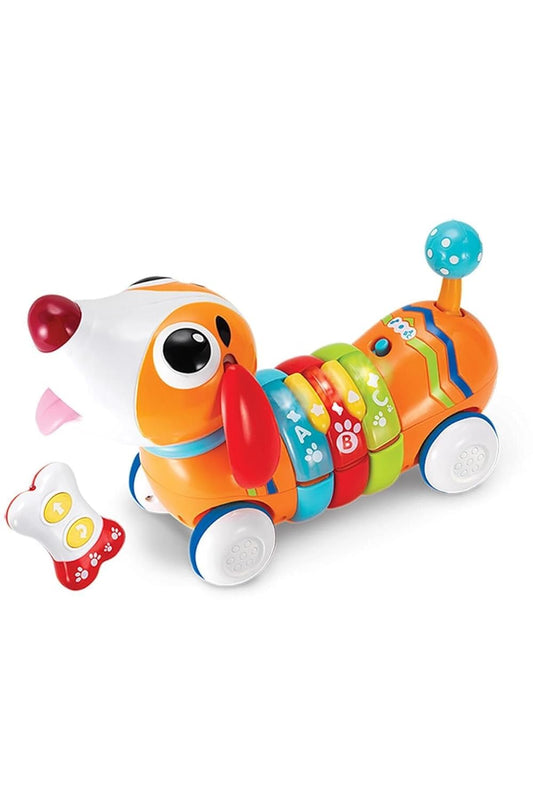 WinFun Walk with Me Puppy | Interactive Pull-Along Musical Toy with Lights & Sounds | Early Learning Walking Companion for Toddlers 12M+