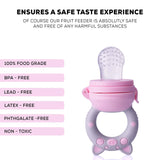 Baybee Baby Food Nibbler Pacifier | Organic Silicone Feeding Pacifier for Infants 3–24 Months | Safe Teething Feeder (Persian)