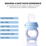 Baybee Organic Silicone Baby Food Feeder | Pacifier with Handle for 3–24 Months | Safe & Hygienic Fruit Feeder (Persian)