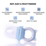 Baybee Organic Silicone Baby Food Feeder | Pacifier with Handle for 3–24 Months | Safe & Hygienic Fruit Feeder (Persian)