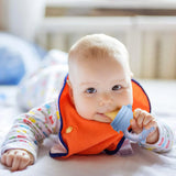 Baybee Organic Silicone Baby Food Feeder | Pacifier with Handle for 3–24 Months | Safe & Hygienic Fruit Feeder (Persian)