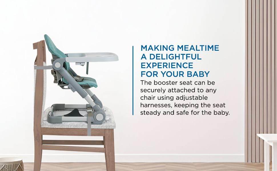 Mee Mee Convertible Baby Chair and Booster with Adjustable Height (3 Levels), Removable Meal Tray & Secure Belt, for Babies 6 Months and Older (Grey) - Timbuktoon