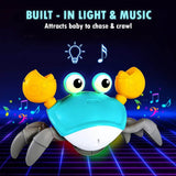 Electric Crawling Crab Toy – Interactive Musical Movement Toy for Infants & Toddlers (6-12 Months) Electric Musical Toy with Auto-Direction Change - Timbuktoon
