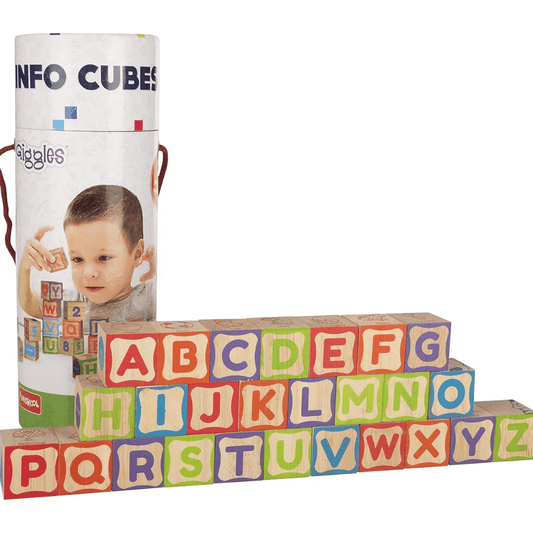 Giggles Funskool Info Cubes, Educational Learning Blocks with Alphabet, Numbers, Colors, Shapes & Picture Puzzle, Development Toy for Kids, Preschool Activity Set, Gift Set for Kid, Ages 3+ Years - Timbuktoon