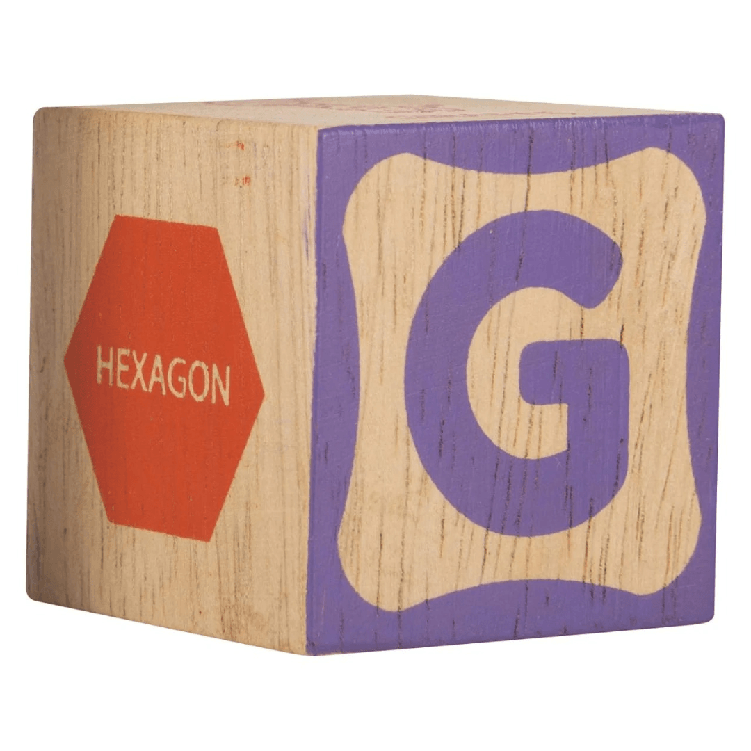 Giggles Funskool Info Cubes, Educational Learning Blocks with Alphabet, Numbers, Colors, Shapes & Picture Puzzle, Development Toy for Kids, Preschool Activity Set, Gift Set for Kid, Ages 3+ Years - Timbuktoon