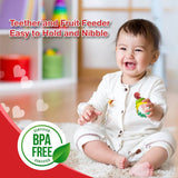 LuvLap Silicone Food/Fruit Nibbler with Extra Mesh, Soft Pacifier/Feeder, Teether for Infant Baby, Infant, Pearly Green, BPA Free - Timbuktoon